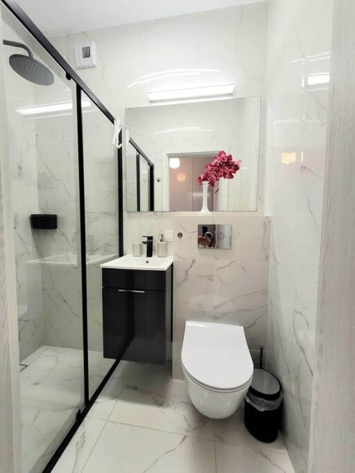 Apartment Sophie 3 Rooms, 2 Bathrooms, 8 Persons Krasków Εξωτερικό φωτογραφία